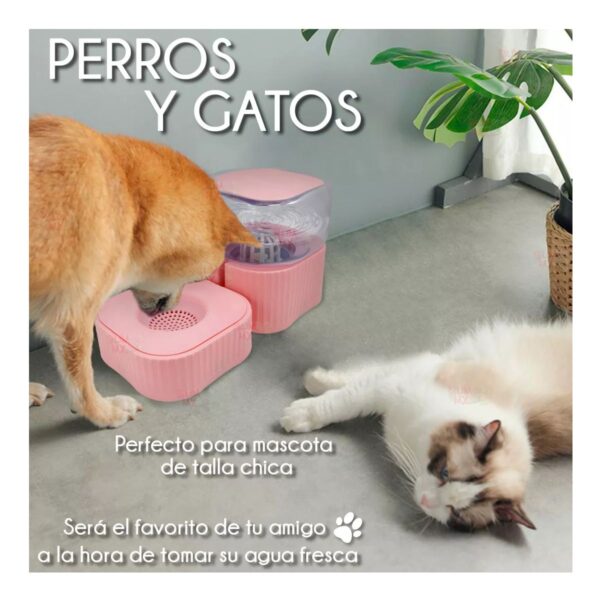 Bebedero Dispensador Automático Para Mascotas
