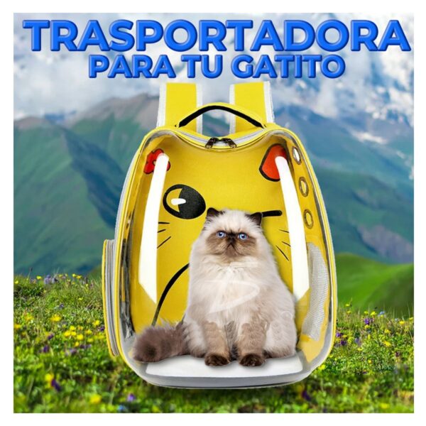 Mochila Tipo Burbuja Para Mascotas Diseño de Orejitas