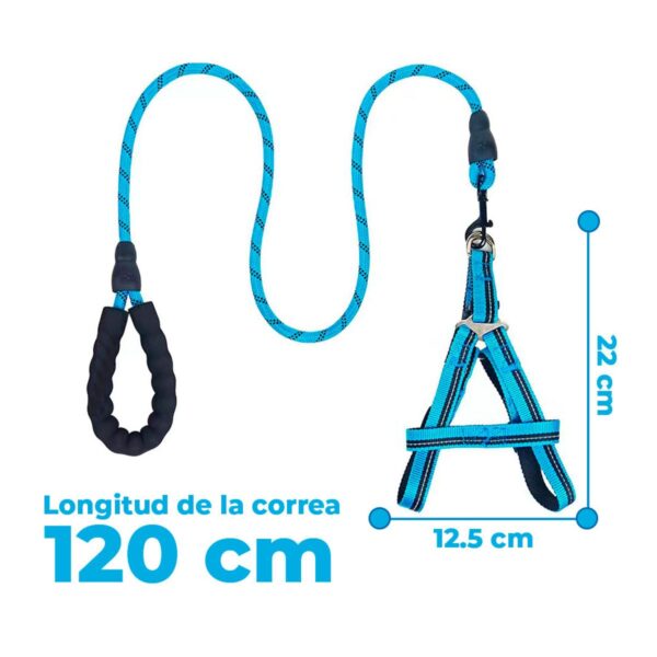 Kit De Arnes Y Correa Para Mascotas Talla CH o M