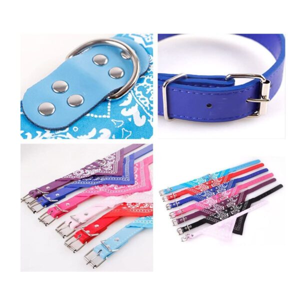 Collar Para Mascota Con Banda De Paliacate Talla L