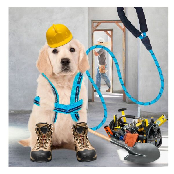 Kit De Arnes Y Correa Para Mascotas Talla CH o M