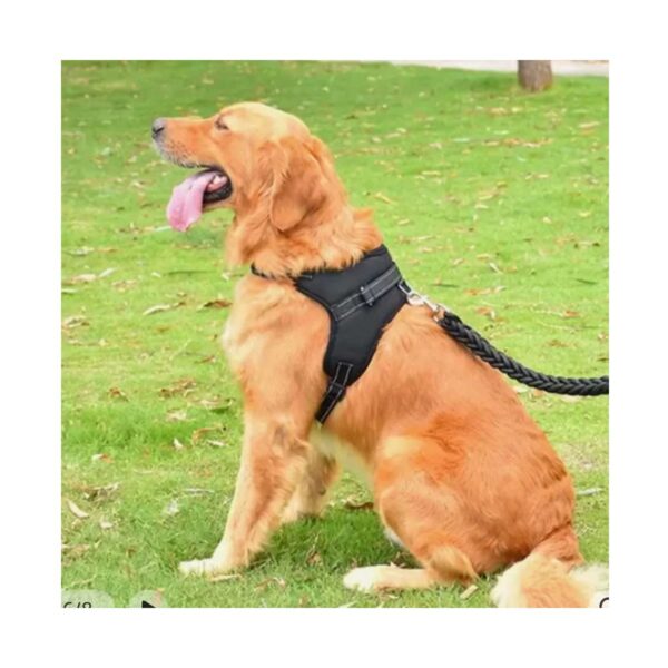 Pechera Pretal Para Perros Estilo Camuflaje Talla M o L