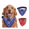 Collar Para Mascota Con Banda De Paliacate Talla L
