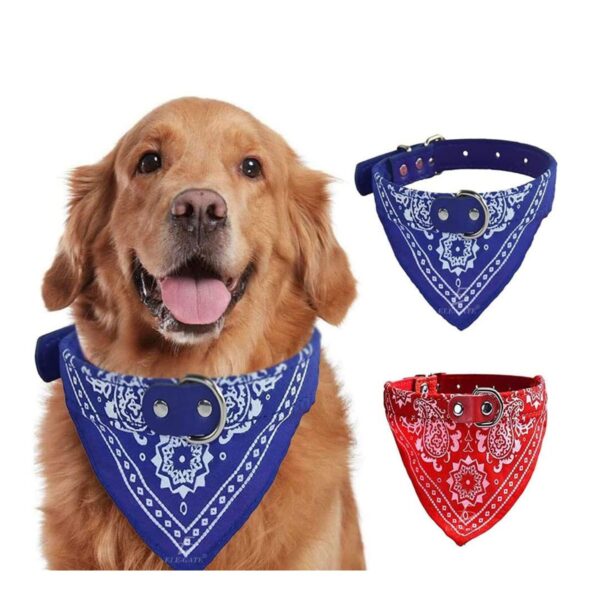 Collar Para Mascota Con Banda De Paliacate Talla L