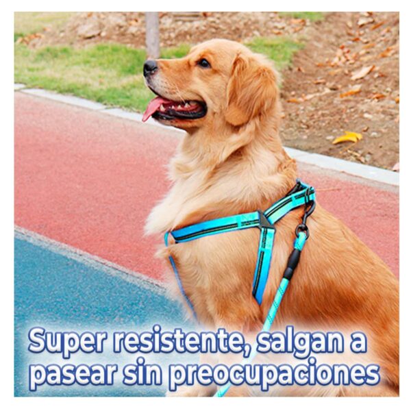 Kit De Arnes Y Correa Para Mascotas Talla CH o M
