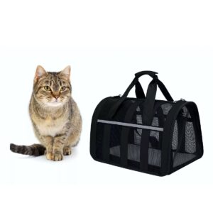 Maleta Transportadora Para Mascotas Vista Panoramica Talla S