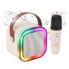 Mini Bocina Bluetooth 10W Karaoke Con 1 Micrófono Inalámbrico