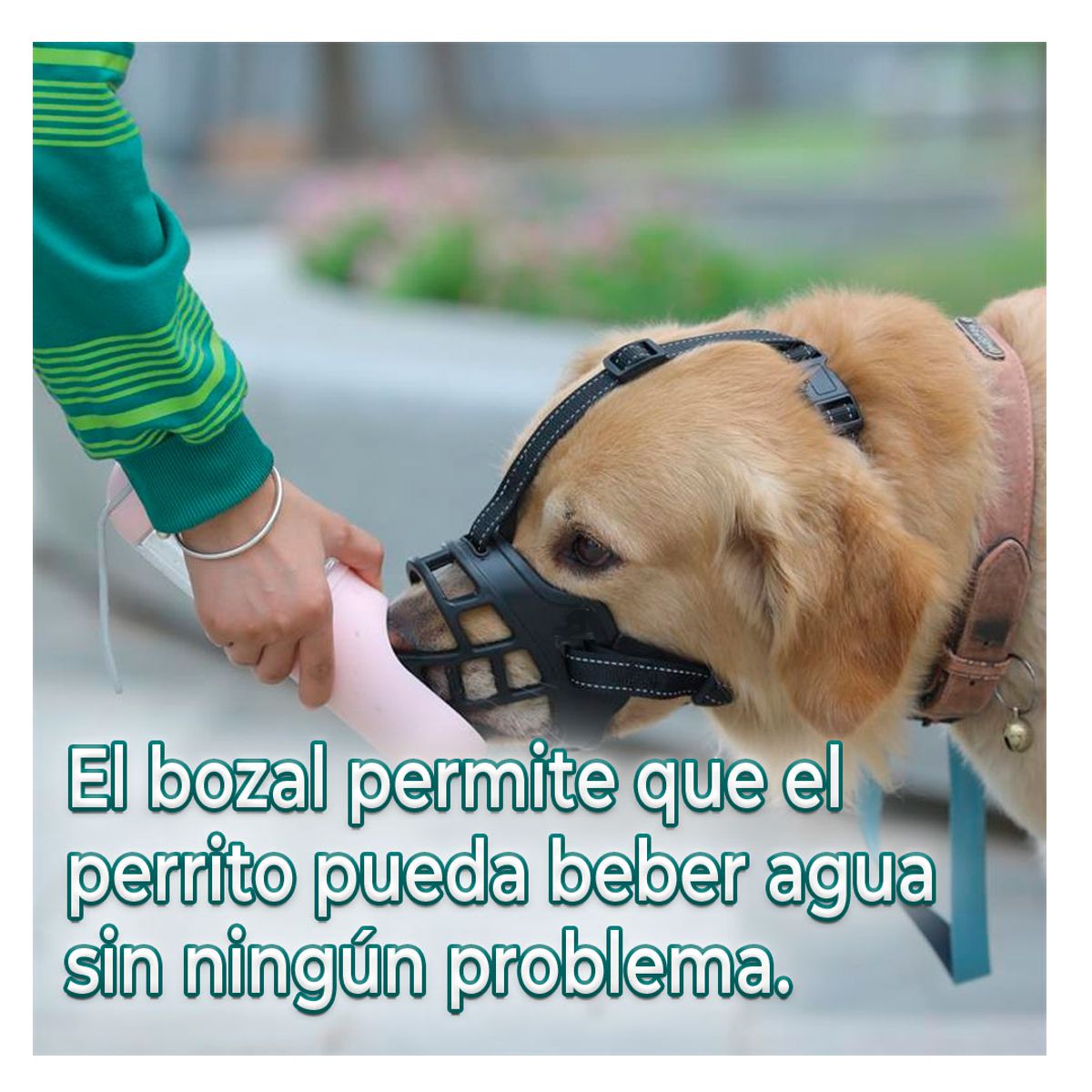 Bozal de Silicona Transpirable para Perros Grandes Control Seguro, Comodidad y Resistencia